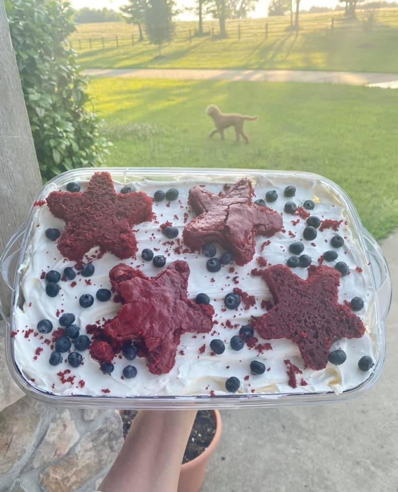 Red Velvet, White, & Blueberry Cheesecake Trifle